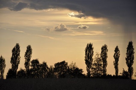 Landschaft Landschaft