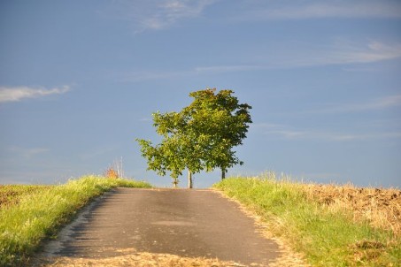 Feldweg Feldweg