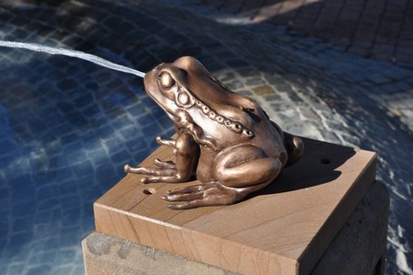Frosch Frosch